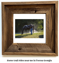 horse trail rides near me in Toccoa, Georgia